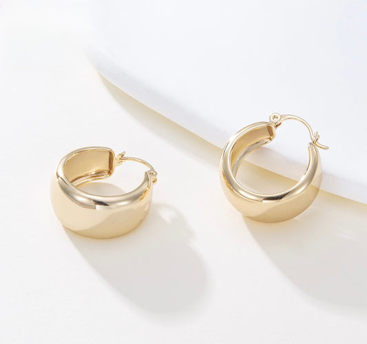 Aretes Aura