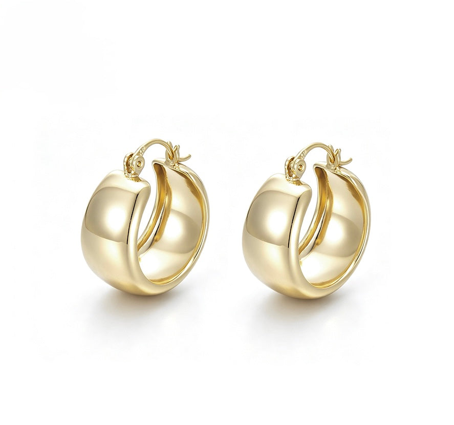 Aretes Aura